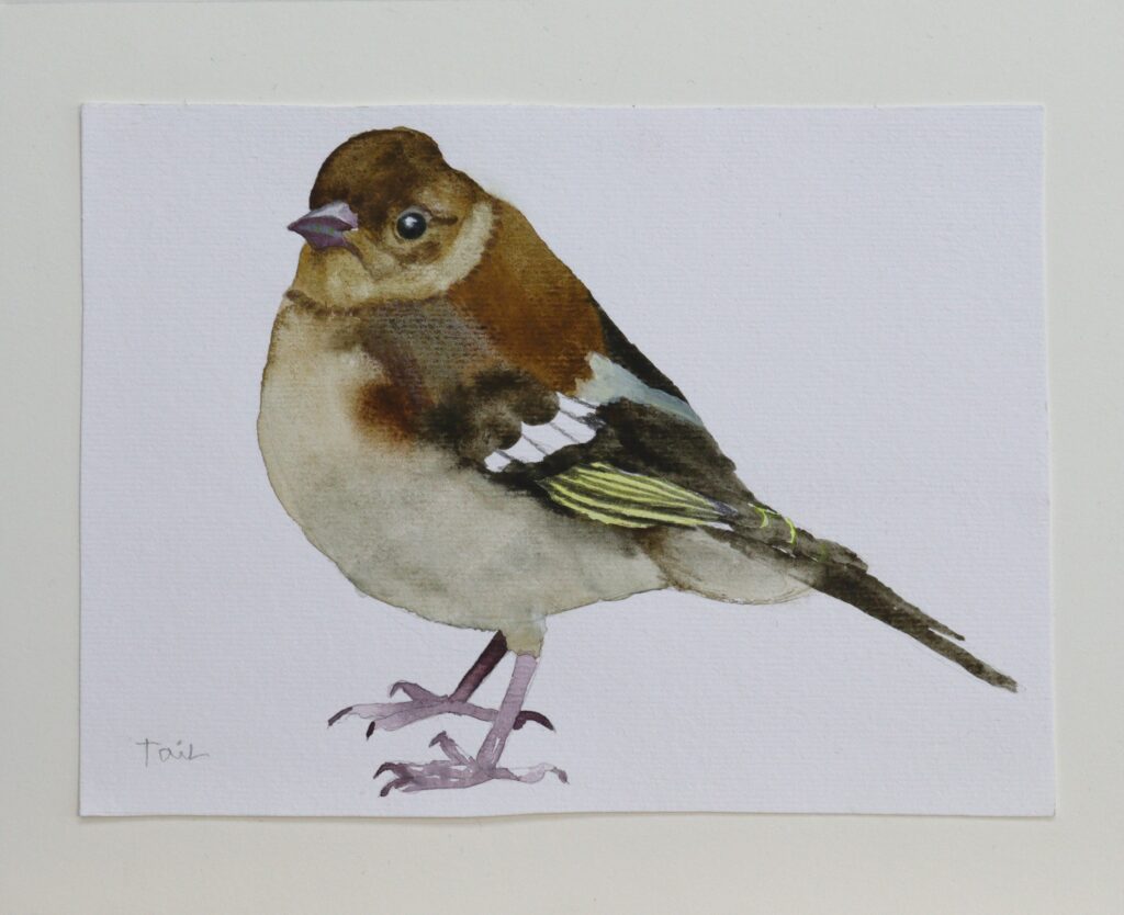 צבעי מים על נייר 8x13